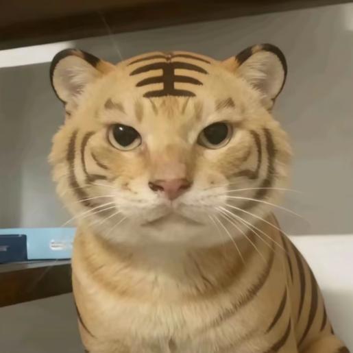 耄耋头像