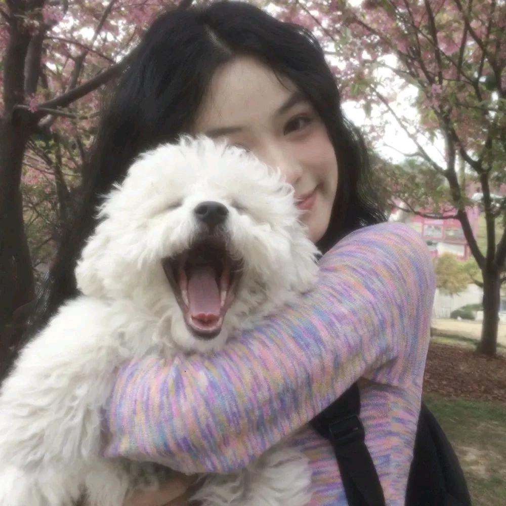 胆子肥嘟嘟头像