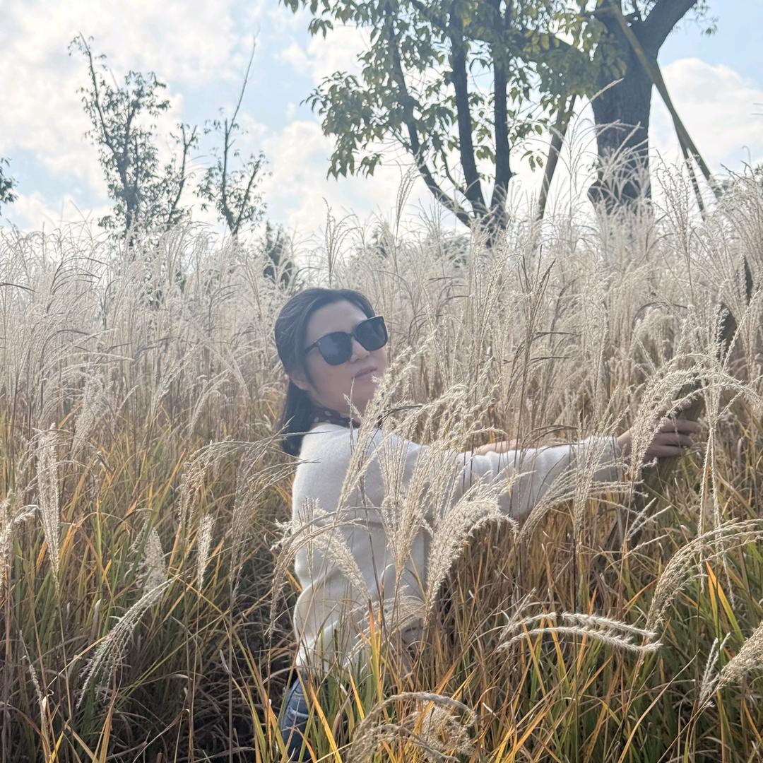 我该起什么名字呢