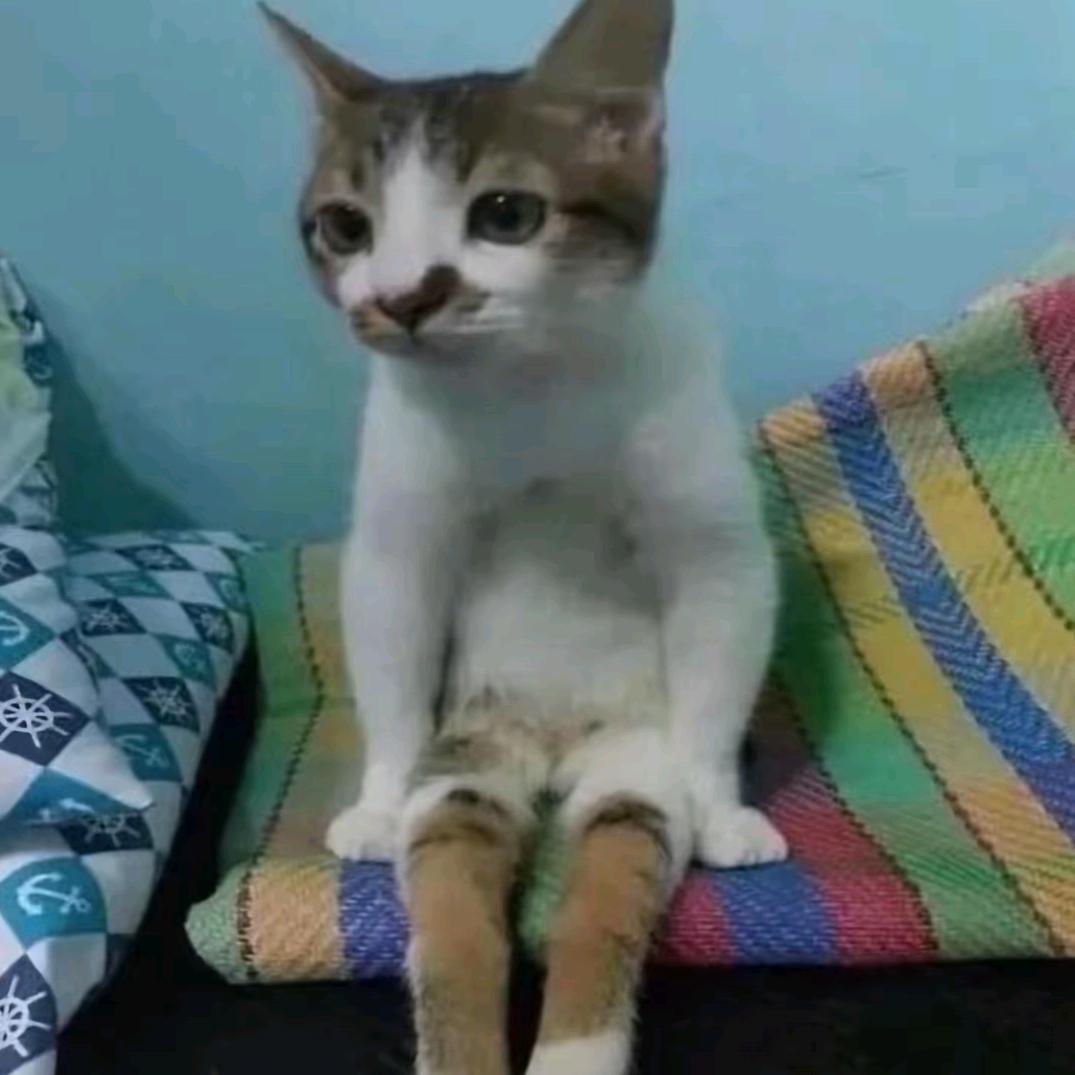想困告