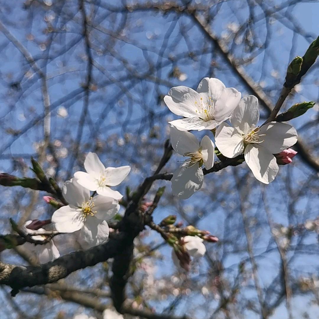 建始县天炀昕程商贸有限责任公司