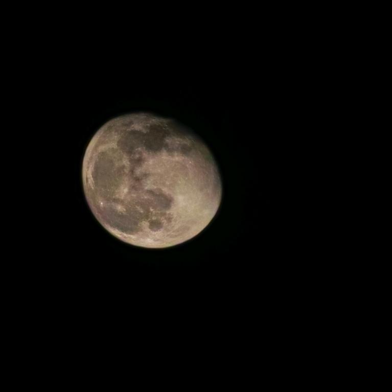 土蚝养殖户（喜哈嘻）