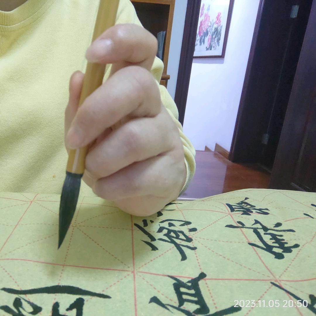 子非鱼~