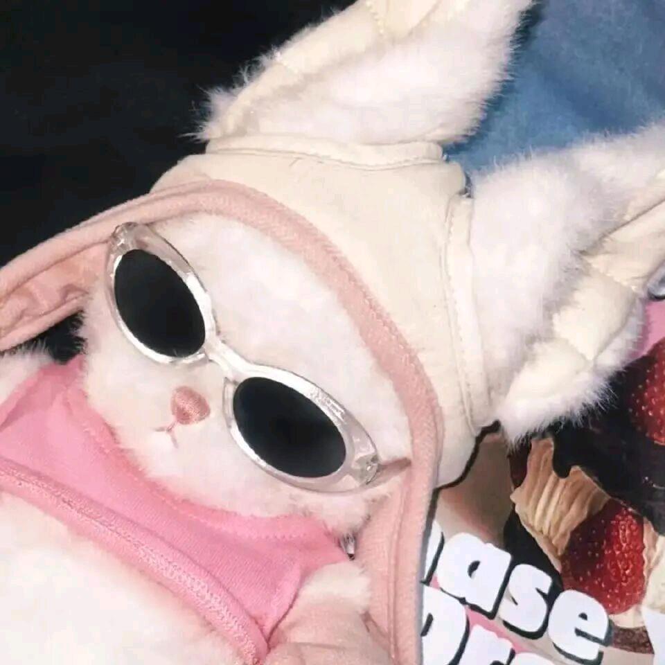 国家一级退堂鼓演员 🥁