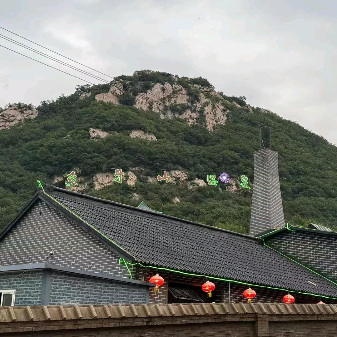 柠檬蜜半夏🍼