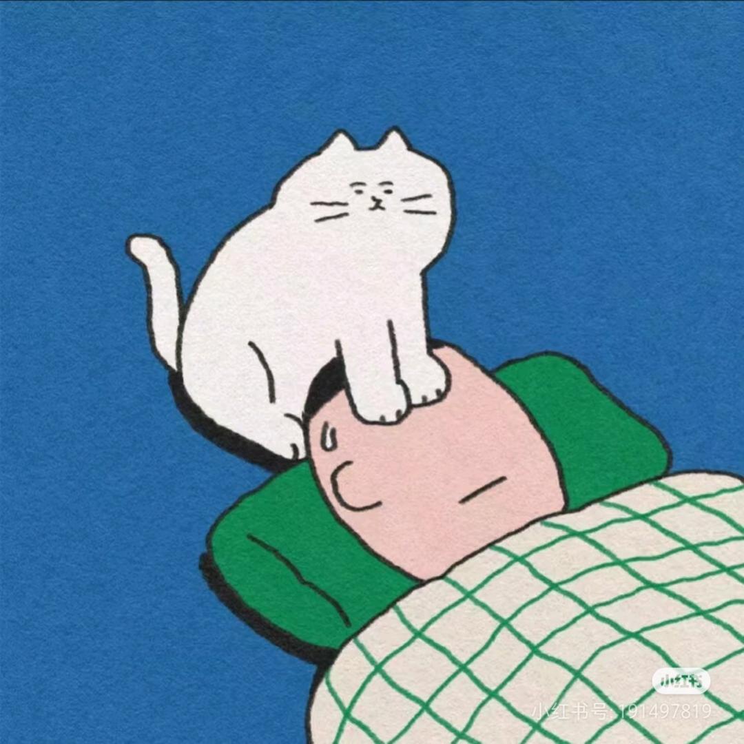 重生之我在宿迁开猫舍（买🐱私）