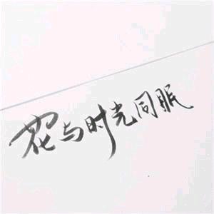 茶山鹿