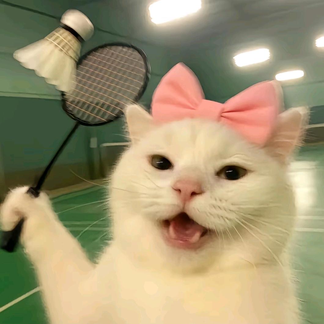 呀嘿🏸