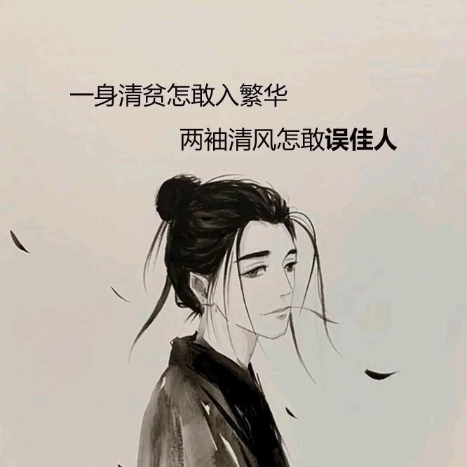 一只银渐层