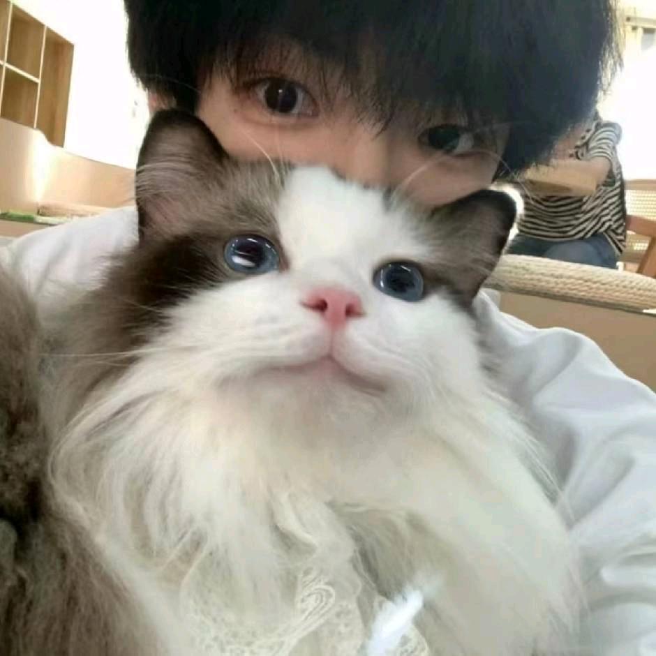 幼虫