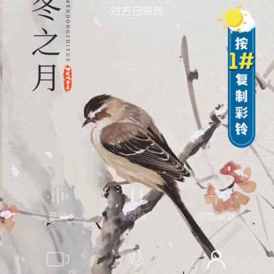 中哥