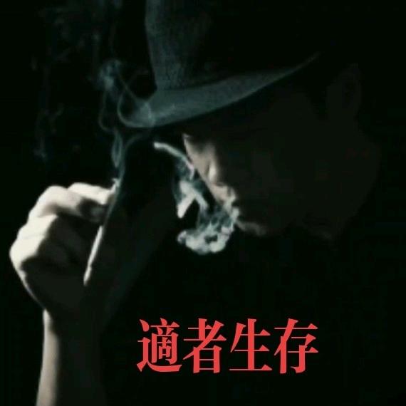一个人挺好的...