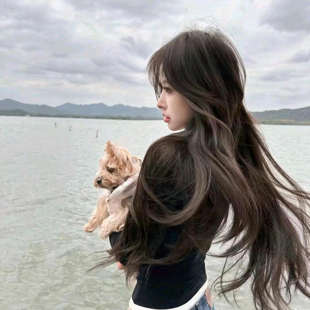 迪迪.