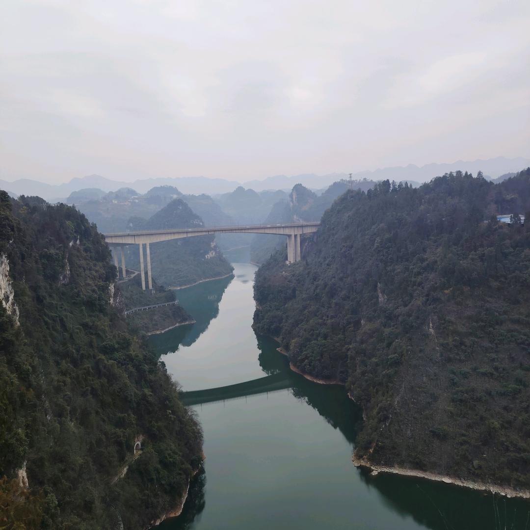 王氏家族
