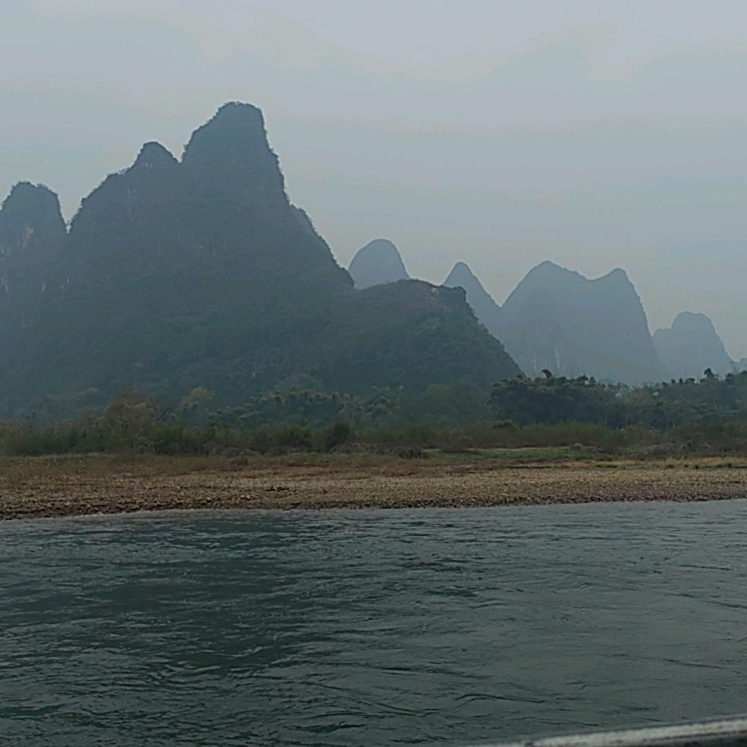 红豆
