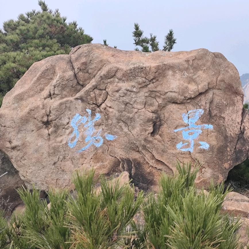 不知不愠