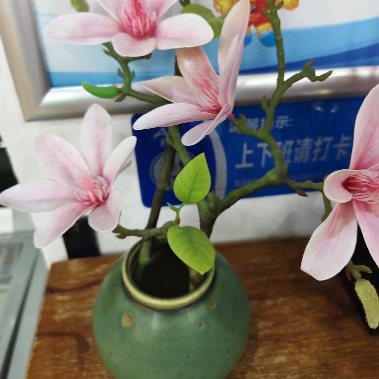 顺其自然～