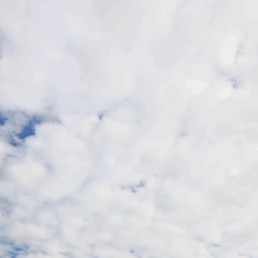 楠离