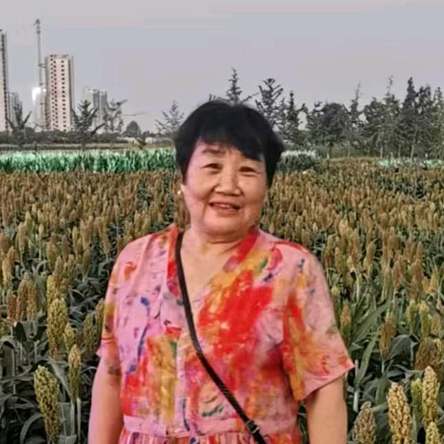 晚来乐