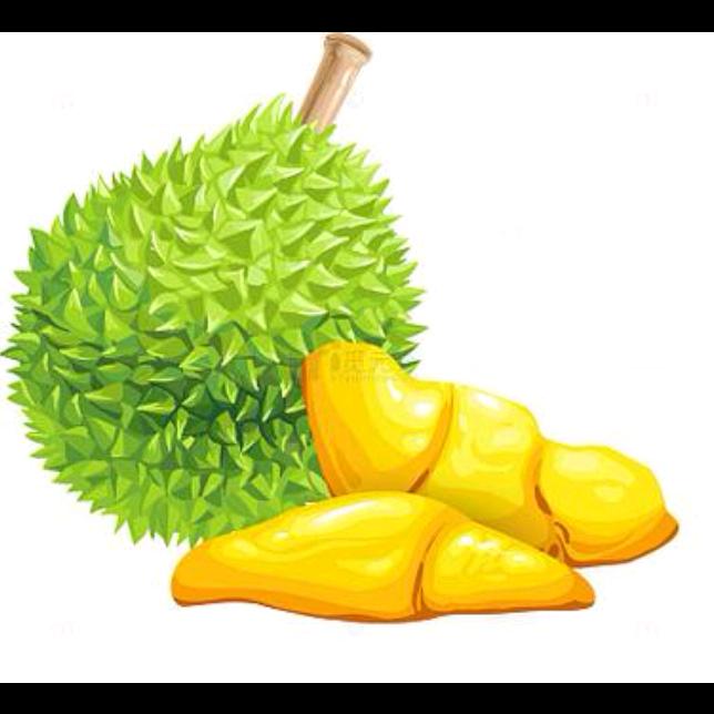 李艺鹏-（高碑店榴莲代踩）