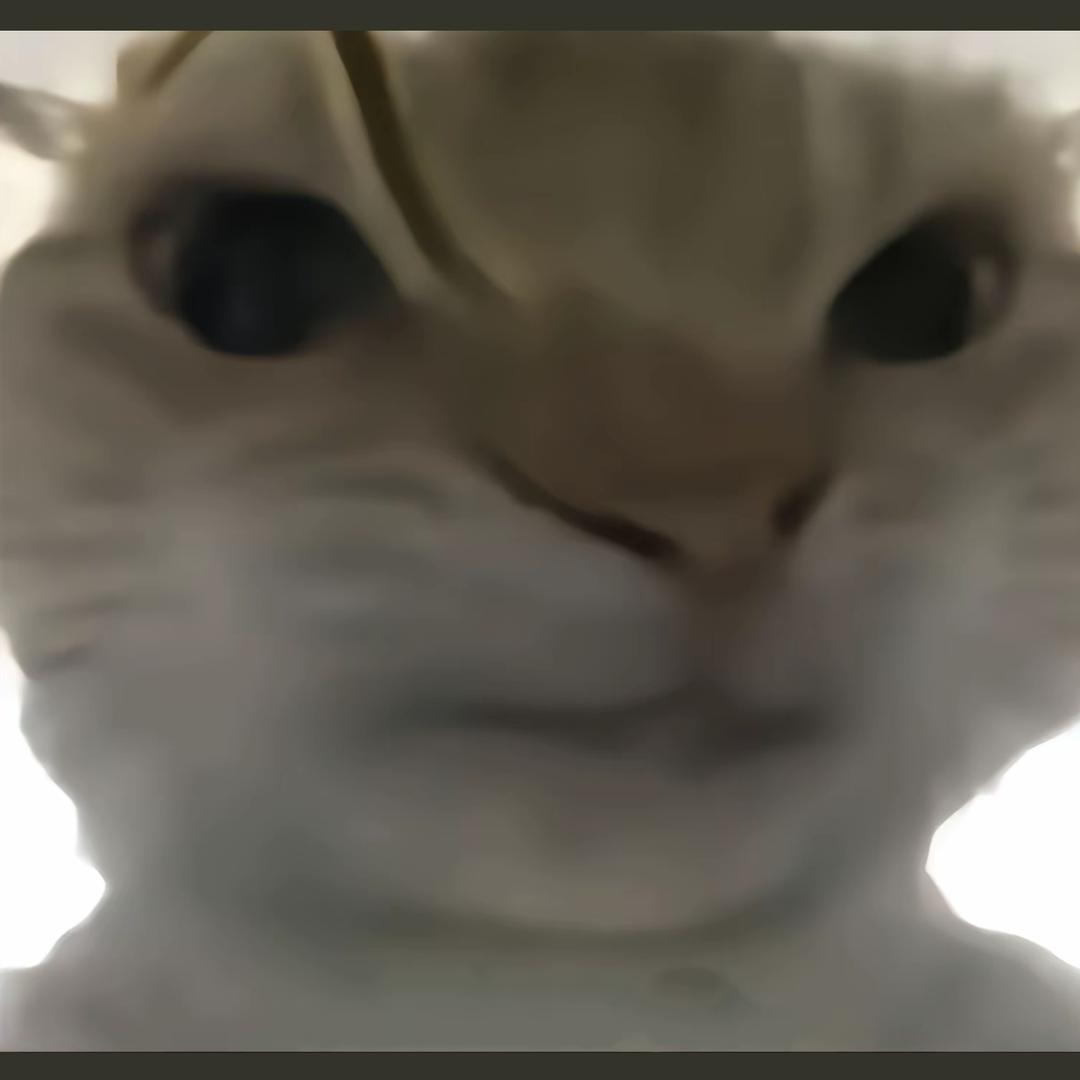 昭 阳🏸（想打羽毛球版）