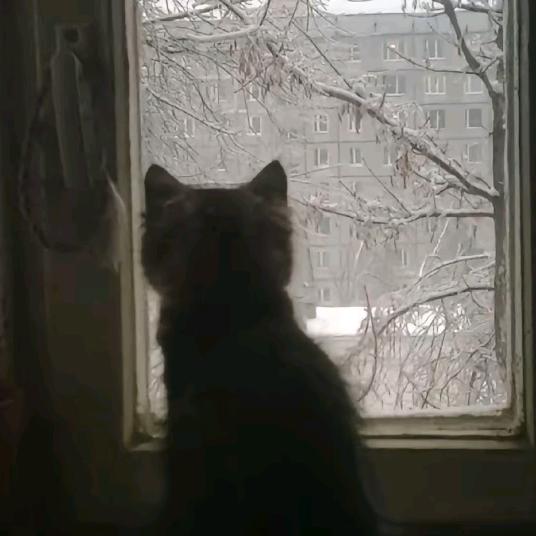 楠..