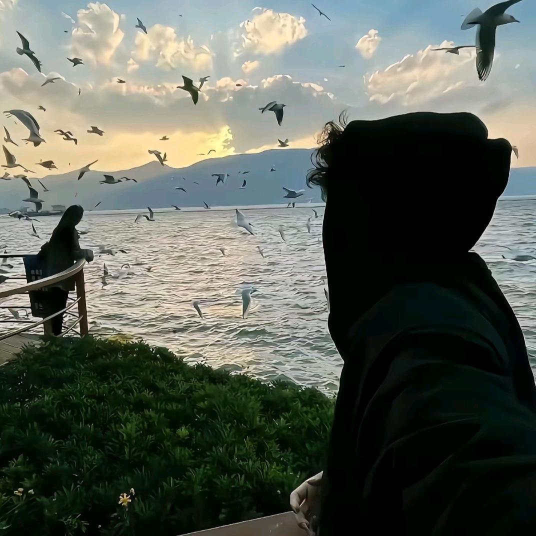 落花