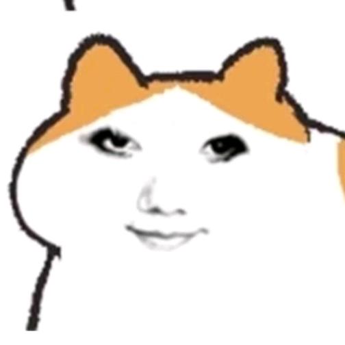 卡墨