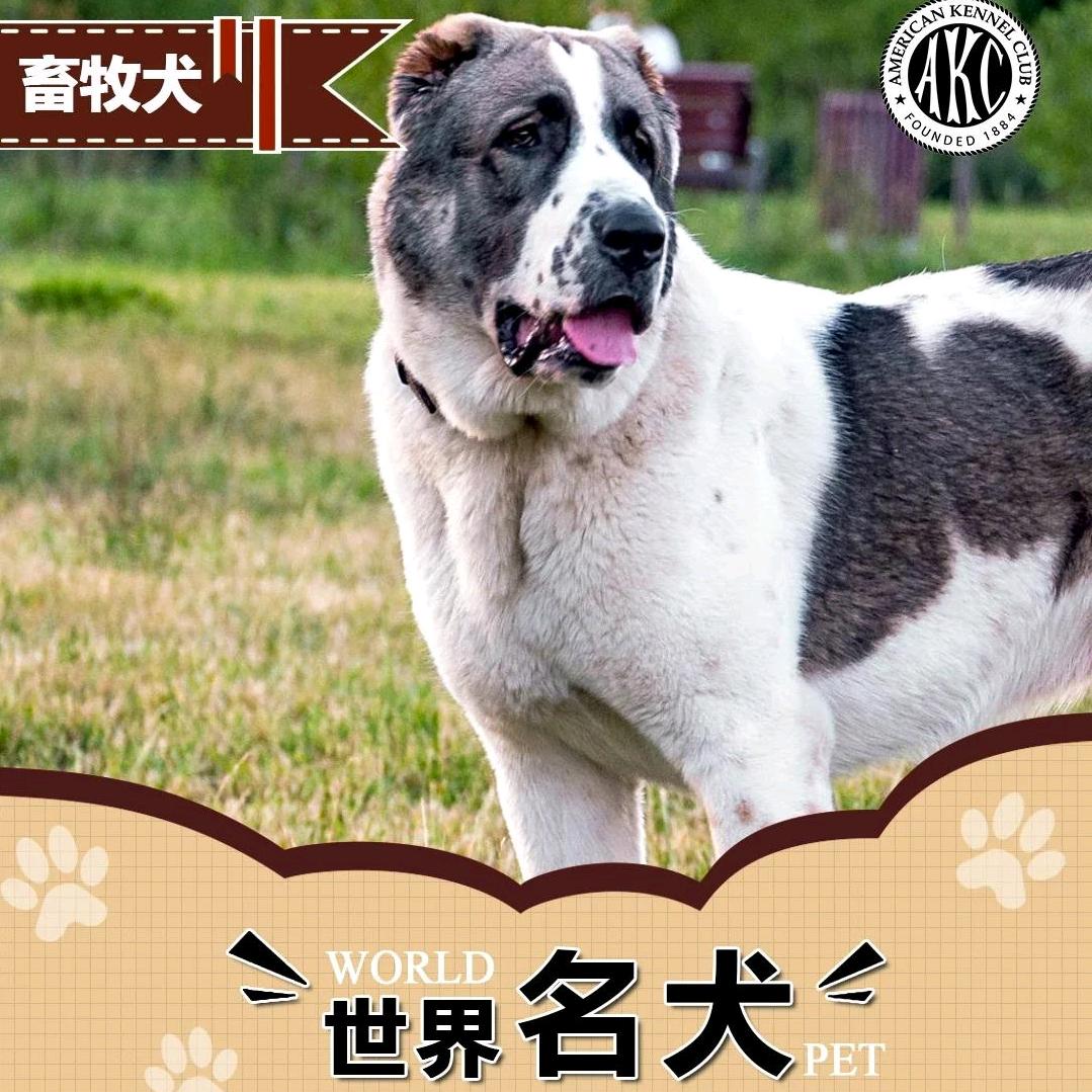 无名.