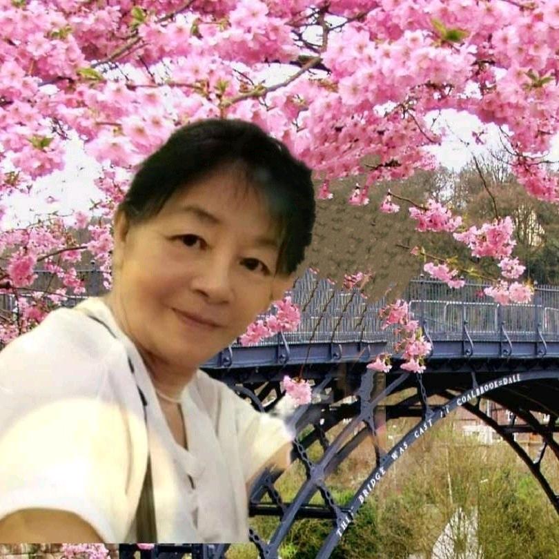 白燕