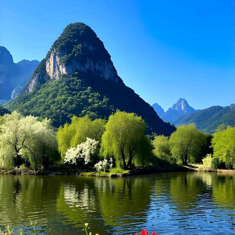 孤 心 泪