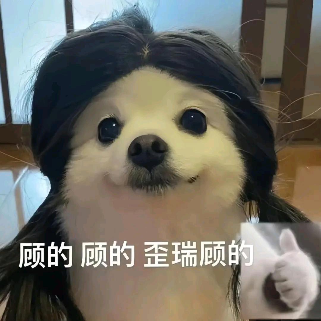 圆酱紫