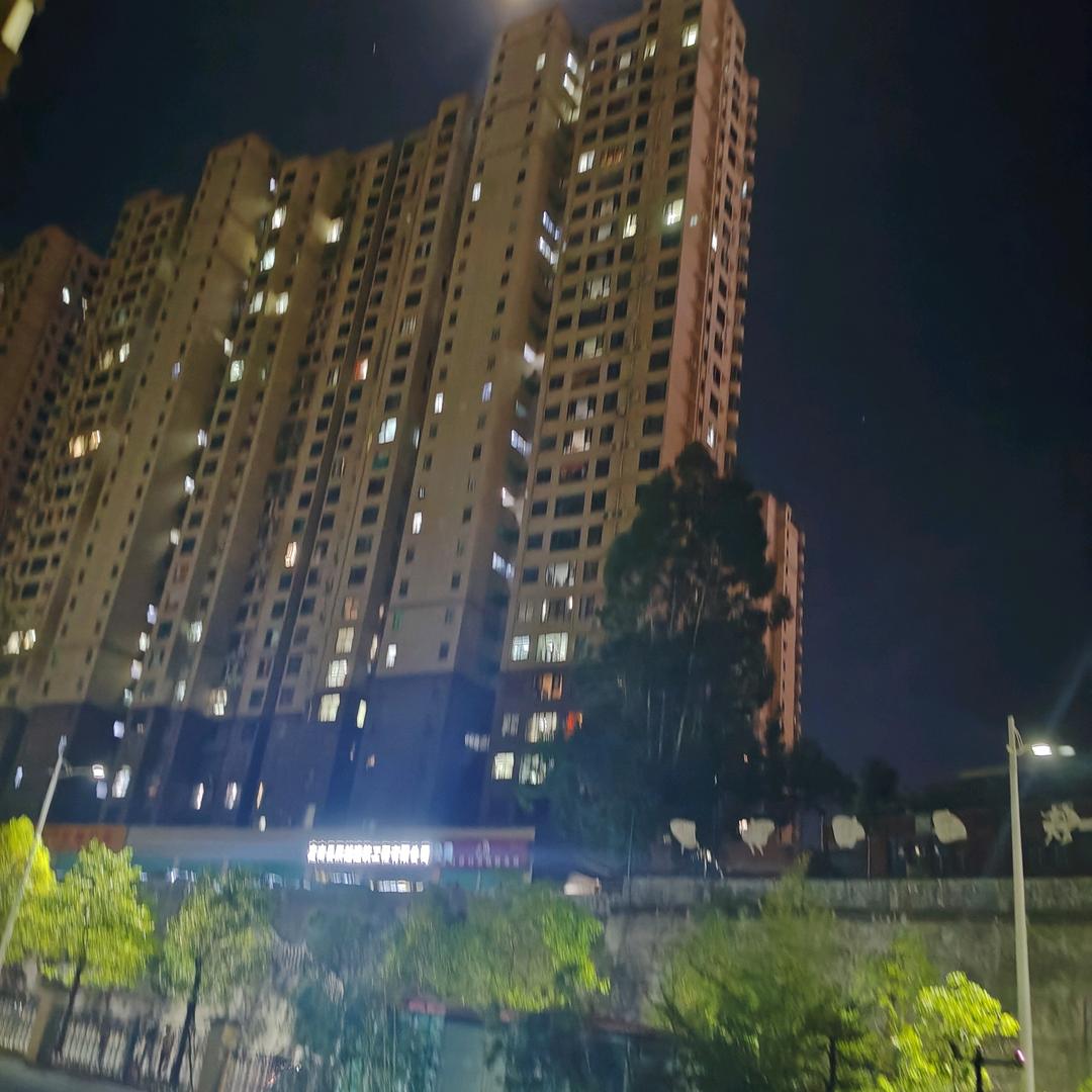 忘不了你