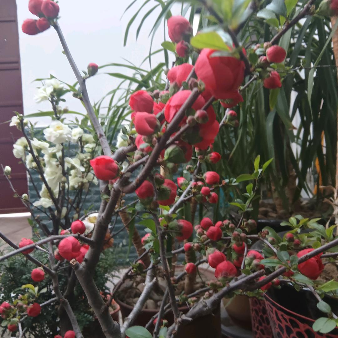 牛牛姐