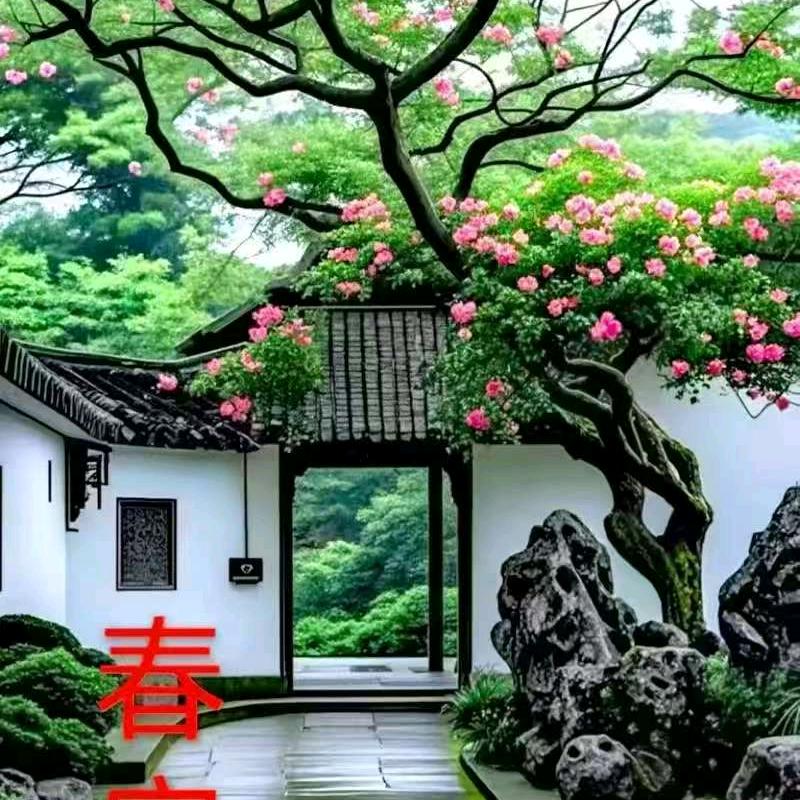 快顺带货