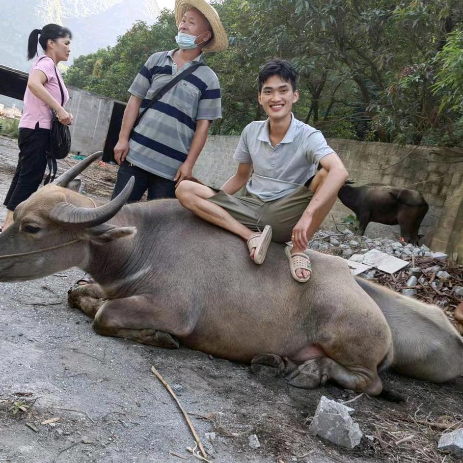 路泽