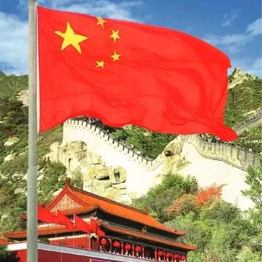 忙忙忙