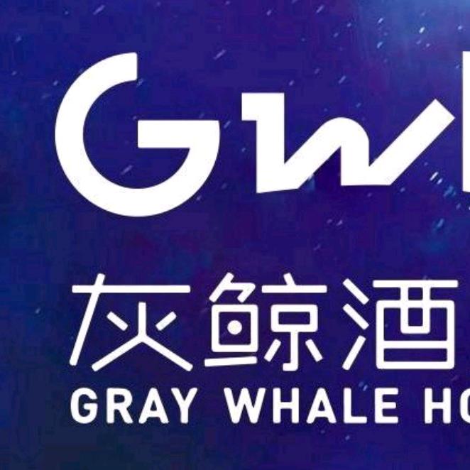 灰鲸雄安新区白洋淀店