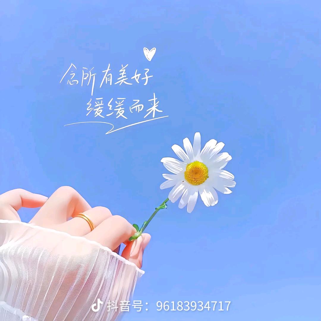 娜娜助理