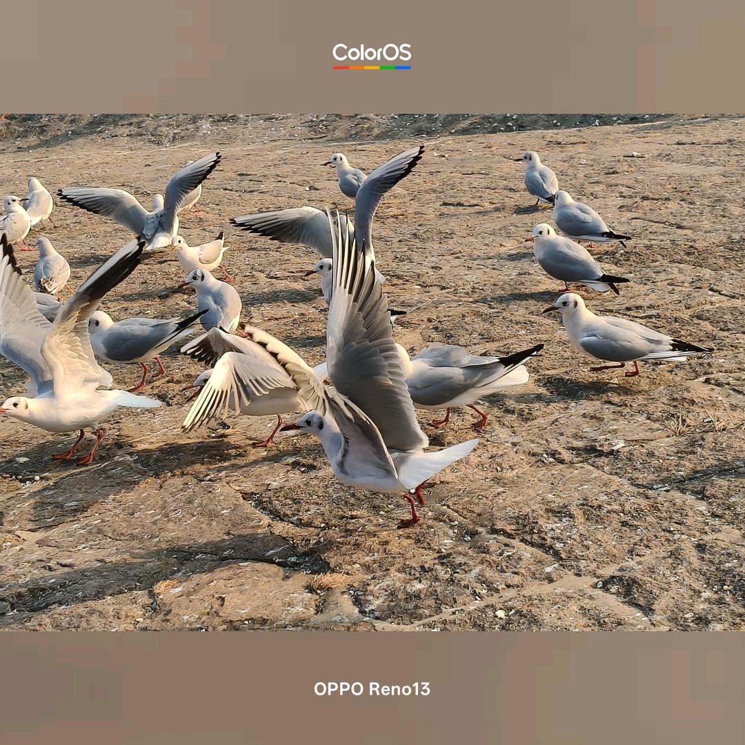 Never