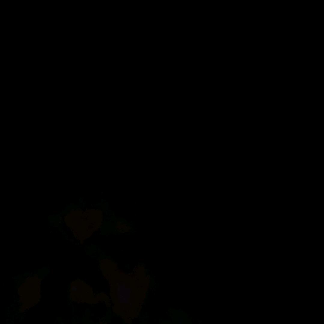 网络有你