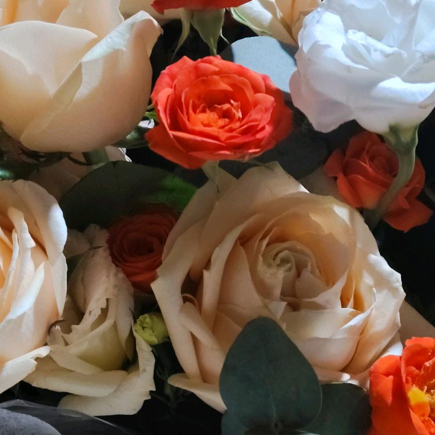 感谢有你真好亲爱的(✿ ♡‿♡)