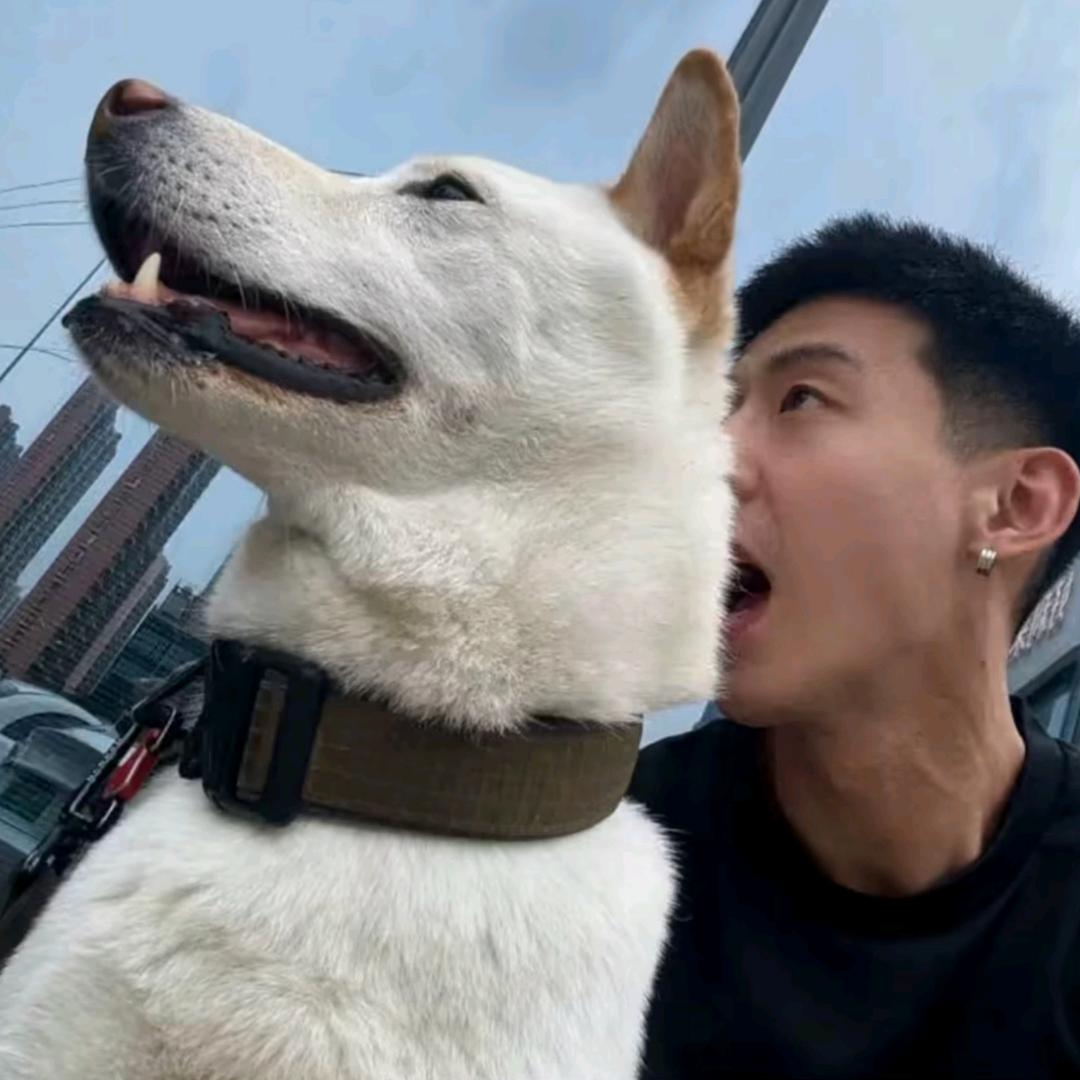 八万八