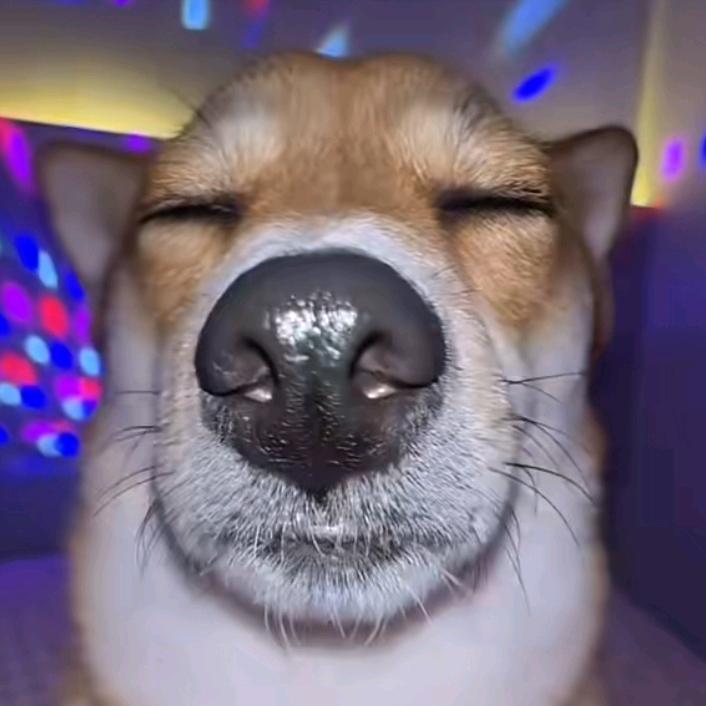 。。。。ajshxhdj