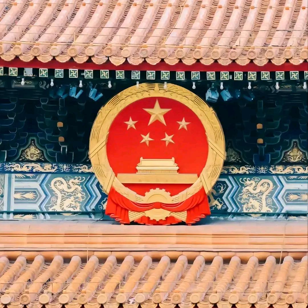 专业社保
