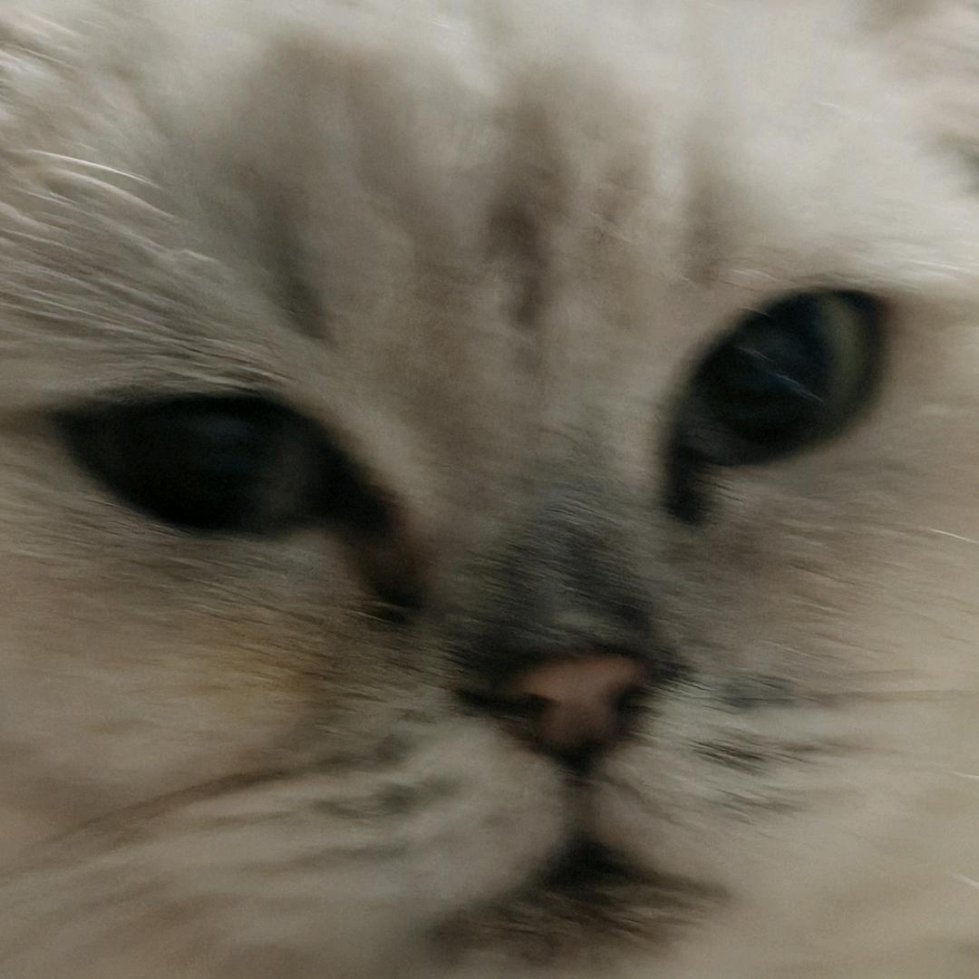 衤一