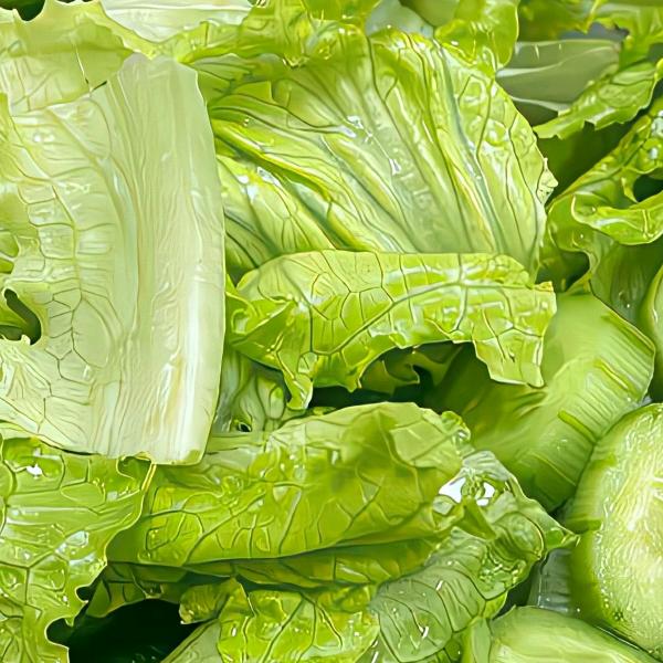 蜡笔小葱（已瘦版）