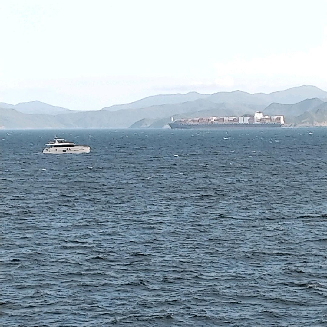 骏海