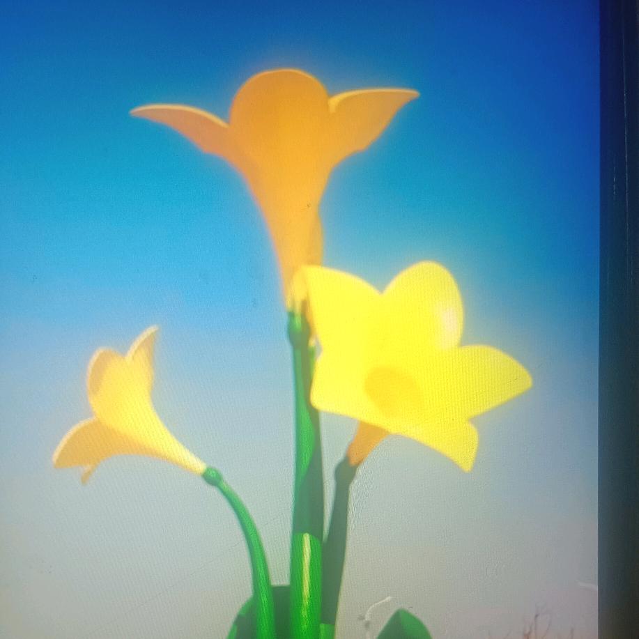 执着