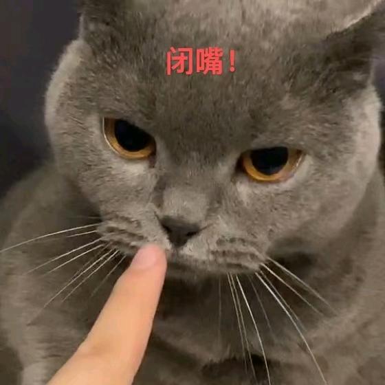 🌈丶弹壳🐒